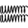 Dorman 566-164 Coil Spring Suspension Coil Spring