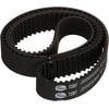 Gates T287 Engine Timing Belt Premium Automotive Timing Belt