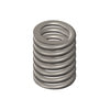 Cummins 4936080 Engine Valve Spring Spring Valve