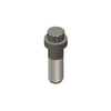 Cummins 3882922 Engine Timing Chain Idler Gear Bolt Engine Timing Chain Idler Gear Bolt - 12-Point, fits L10 MECHANICAL