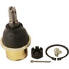 K500193 by MOOG - MOOG K500193 Suspension Ball Joint Front Lower