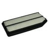 ECOGARD XA5656 Engine Air Filter AIR FILTER
