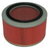 ECOGARD XA4473 Engine Air Filter Air Filter