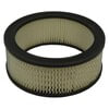 ECOGARD XA57 Engine Air Filter Air Filter