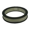 ECOGARD XA92 Engine Air Filter Air Filter