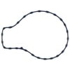 Victor K32457 Water Pump Gasket