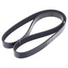 INA FB6K438 Serpentine Belt INA BDC FEAD multi V-Belt