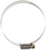 Dayco 91036 Hose Clamp HOSE CLAMP SS W/PLATED SCREW, DAYCO