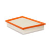 Baldwin PA10075 Engine Air Filter Engine Air Filter - used for Various Automotive Applications