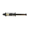 Gabriel G57024 Suspension Strut and Coil Spring Assembly