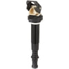 Spectra Premium C-994 Ignition Coil Ignition Coil