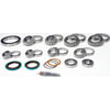 SKF SDK200-FA Axle Differential Bearing and Seal Kit SKF SDK200-FA Differential Rebuild Kit