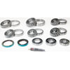 SKF SDK208 Axle Differential Bearing and Seal Kit SKF SDK208 Differential Rebuild Kit