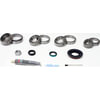 SKF SDK303 Axle Differential Bearing and Seal Kit SKF Differential Rebuild Kit SDK303 For Dodge Plymouth
