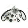 SKF TBK307WP Engine Timing Belt Kit with Water Pump Timing Belt And Waterpump Kit