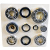 SKF STCK4412-A Transfer Case Overhaul Kit SKF Transfer Case Rebuild Kit STCK4412-A