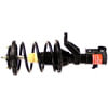 Monroe 172125 Suspension Strut and Coil Spring Assembly Quick-Strut Ensamble de Montante (Strut) y Muelle de Resorte de