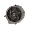 Dayco DP1759 Engine Water Pump WATER PUMP-HEAVY DUTY, DAYCO
