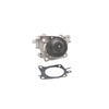 Dayco DP242 Engine Water Pump WATER PUMP-AUTO/LIGHT TRUCK, DAYCO