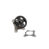 Dayco DP459 Engine Water Pump WATER PUMP-AUTO/LIGHT TRUCK, DAYCO
