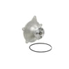 Dayco DP542 Engine Water Pump WATER PUMP-AUTO/LIGHT TRUCK, DAYCO