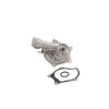Dayco DP591 Engine Water Pump WATER PUMP-AUTO/LIGHT TRUCK, DAYCO