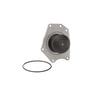 Dayco DP595 Engine Water Pump WATER PUMP-AUTO/LIGHT TRUCK, DAYCO