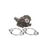 Dayco DP830 Engine Water Pump WATER PUMP-AUTO/LIGHT TRUCK, DAYCO