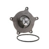 Dayco DP1390 Engine Water Pump WATER PUMP-HEAVY DUTY, DAYCO