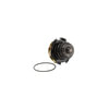 Dayco DP972 Engine Water Pump WATER PUMP-AUTO/LIGHT TRUCK, DAYCO