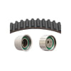 Dayco 95259K2 Engine Timing Belt Kit TIMING BELT KIT, DAYCO