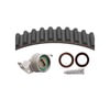 Dayco 95288K1S Engine Timing Belt Kit TIMING BELT KIT WITH SEALS, DAYCO
