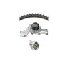 Dayco WP139K1A Engine Timing Belt Kit with Water Pump WATER PUMP KIT, DAYCO