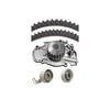 Dayco WP187K1A Engine Timing Belt Kit with Water Pump WATER PUMP KIT, DAYCO