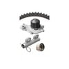 Dayco WP245K1A Engine Timing Belt Kit with Water Pump WATER PUMP KIT, DAYCO