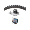 Dayco WP245K2A Engine Timing Belt Kit with Water Pump WATER PUMP KIT, DAYCO
