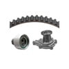 Dayco WP249K1A Engine Timing Belt Kit with Water Pump WATER PUMP KIT, DAYCO