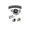 Dayco WP259K2A Engine Timing Belt Kit with Water Pump WATER PUMP KIT, DAYCO