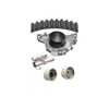 Dayco WP287K1A Engine Timing Belt Kit with Water Pump WATER PUMP KIT, DAYCO
