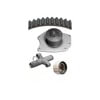 Dayco WP295K1A Engine Timing Belt Kit with Water Pump WATER PUMP KIT, DAYCO