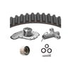 Dayco WP295K1ES Engine Timing Belt Kit with Water Pump WATER PUMP KIT WITH SEALS, DAYCO