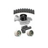 Dayco WP315K1B Engine Timing Belt Kit with Water Pump WATER PUMP KIT, DAYCO