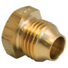 461-2 by TECTRAN - NUT 1/8"  WTHRHD-6100X2