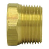 Tectran 121-D Air Brake Air Line Fitting Air Brake Pipe Head Plug - 1/2 inches Pipe Thread, Hex Head