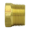 Tectran 121-H Air Brake Air Line Fitting Air Brake Pipe Head Plug - 1 inches Pipe Thread, Hex Head