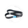 Blumaq 033.499 V-Ribbed Belts V-Ribbed Belts