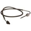 Delphi TS30225 Exhaust Gas Temperature (EGT) Sensor Exhaust Gas Temperature (EGT) Sensor
