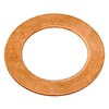 Raybestos G1245 Banjo Washer BRK BANJO BOLT