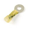 Grote 831946 Ring Terminal RING
