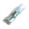 Grote 832432 Female Disconnect Terminal HEATSHRNK